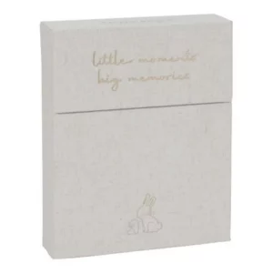 milestone little dutch milestone cards